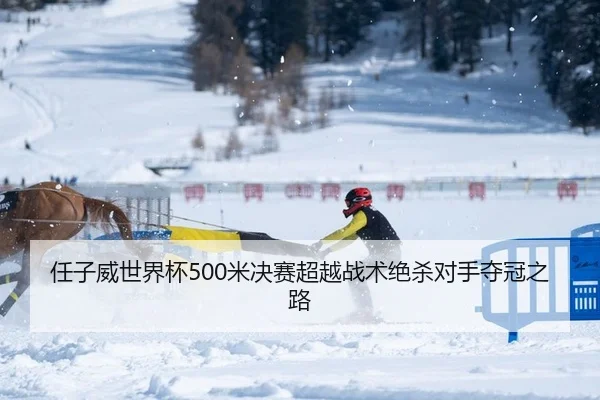 ren-zi-wei-shi-jie-bei-mi-jue-sai-chao-yue-zhan-shu-jue-sha-dui-shou-duo-guan-zhi-lu-2-613.jpg